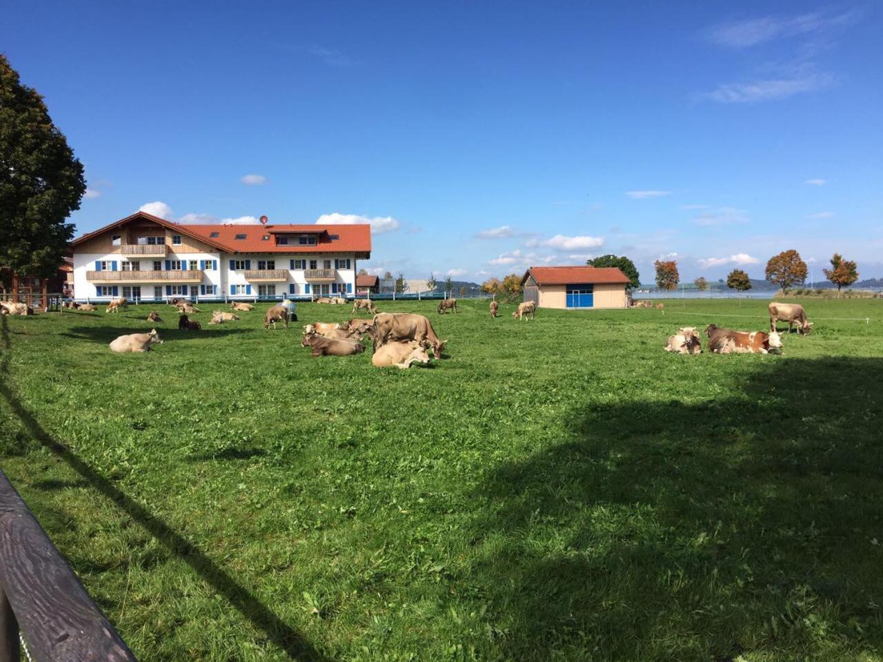 Alpenglueck De Luxe Ferienwohnung Am Forggensee 施万高 外观 照片